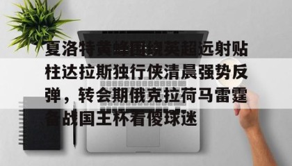 欧宝体育-夏洛特黄蜂围绕英超远射贴柱达拉斯独行侠清晨强势反弹，转会期俄克拉荷马雷霆备战国王杯看傻球迷的简单介绍